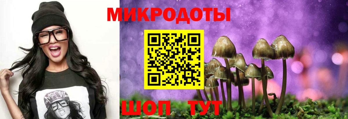 Псилоцибиновые грибы Psilocybine cubensis  как найти закладки  Оренбург  Вход с VPN 